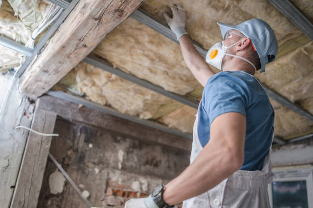 Best Geographic-Specific Insulation Services in Stansbury Park, UT