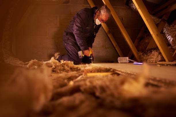 Best Cellulose Insulation in Stansbury Park, UT